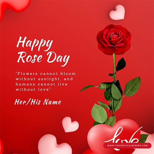 Rose Day Special Greeting Picture With Name Edit Online