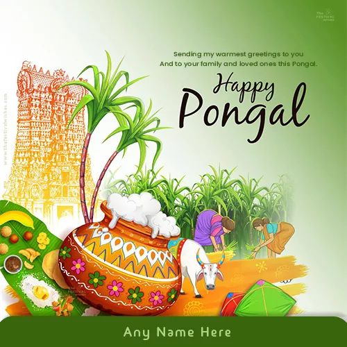 Write Your Name On Pongal 2024 Festival Images Wallpapers